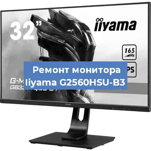 Замена матрицы на мониторе Iiyama G2560HSU-B3 в Санкт-Петербурге